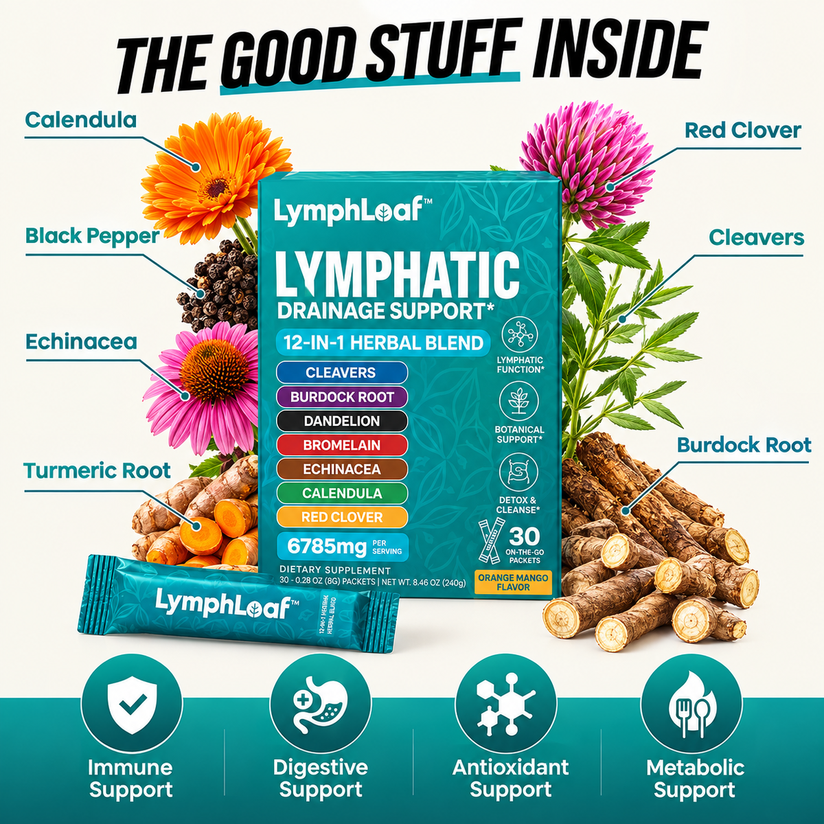 Lymphatic Drainage Support
